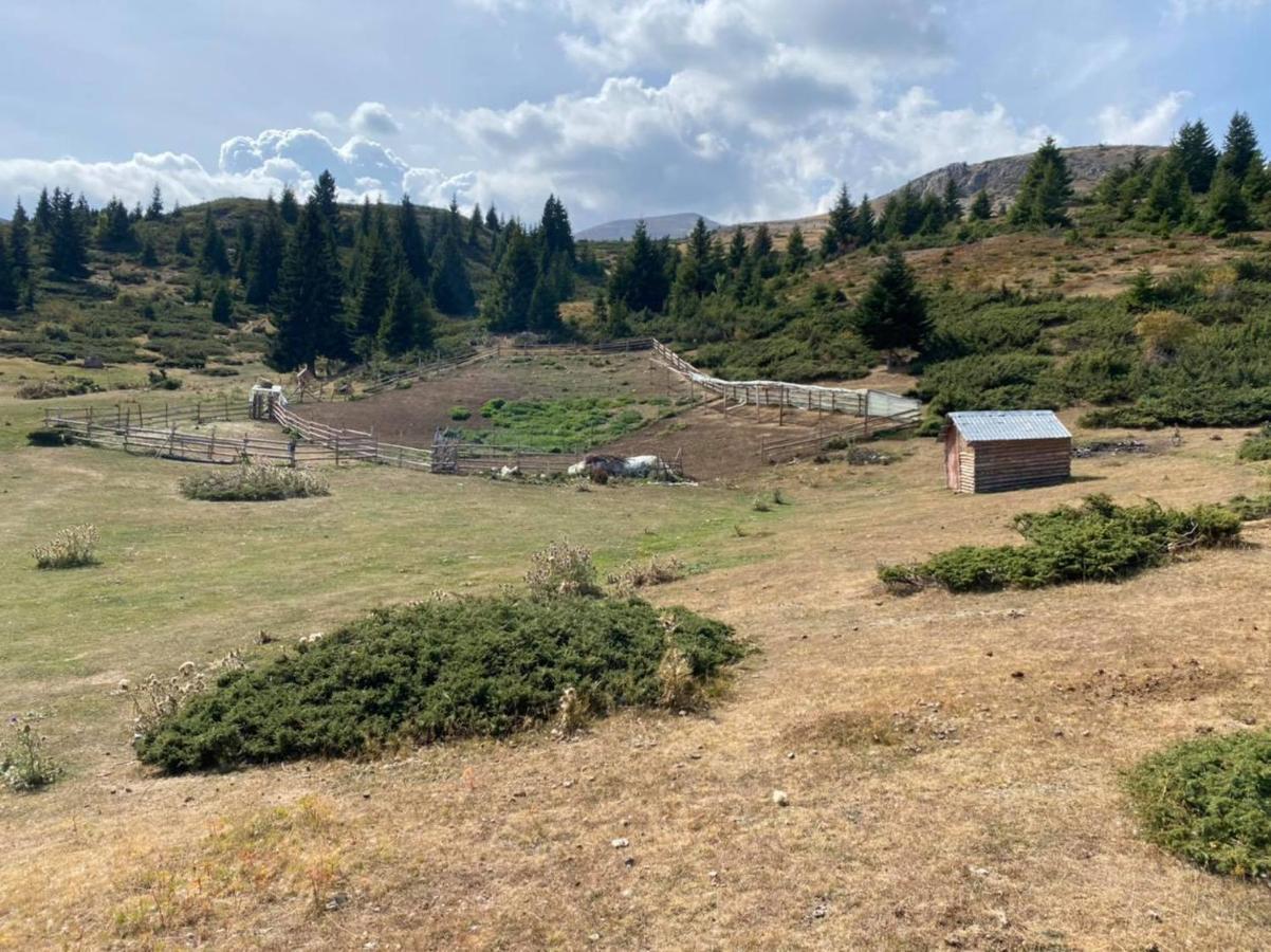 Villa 80 Kodra E Diellit Tetovo Bagian luar foto
