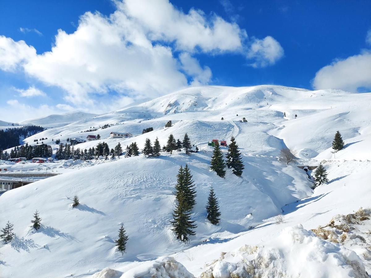 Villa 80 Kodra E Diellit Tetovo Bagian luar foto