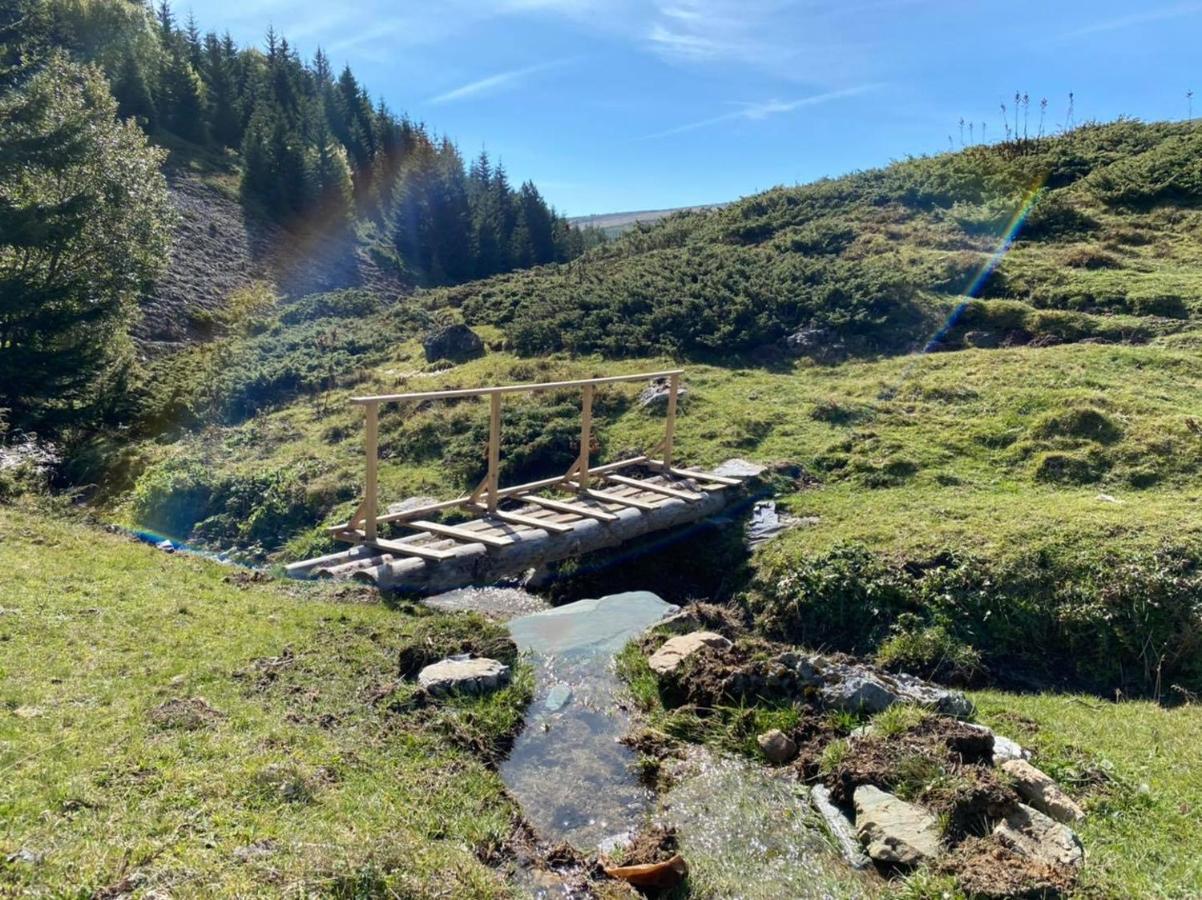 Villa 80 Kodra E Diellit Tetovo Bagian luar foto