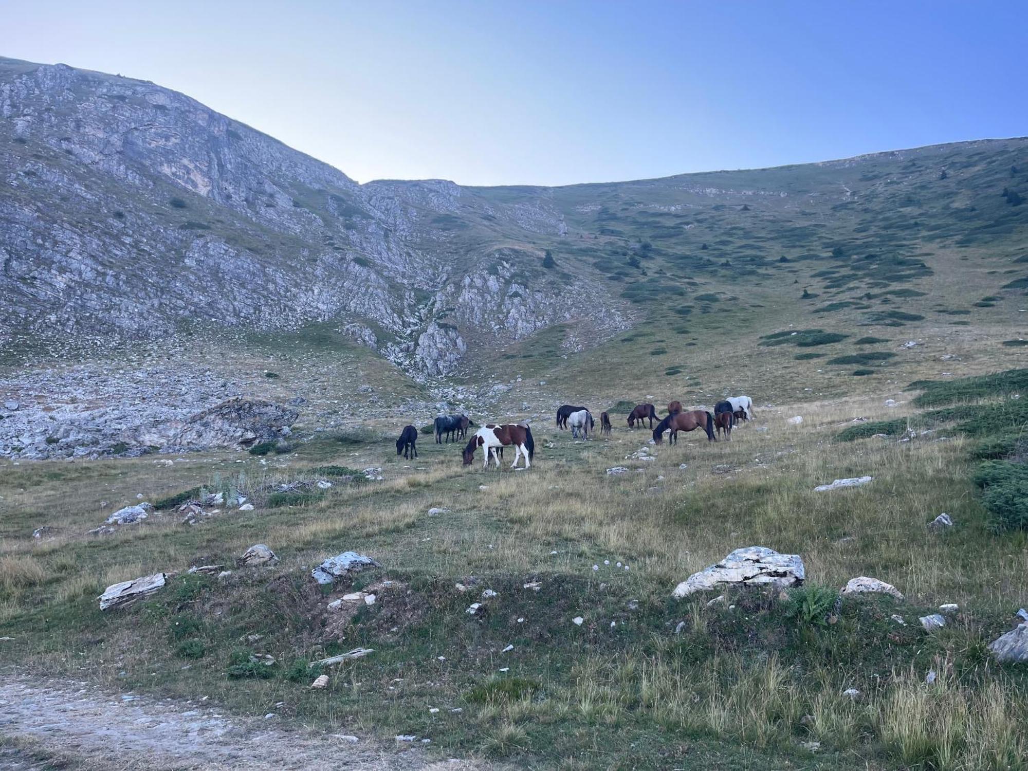 Villa 80 Kodra E Diellit Tetovo Bagian luar foto