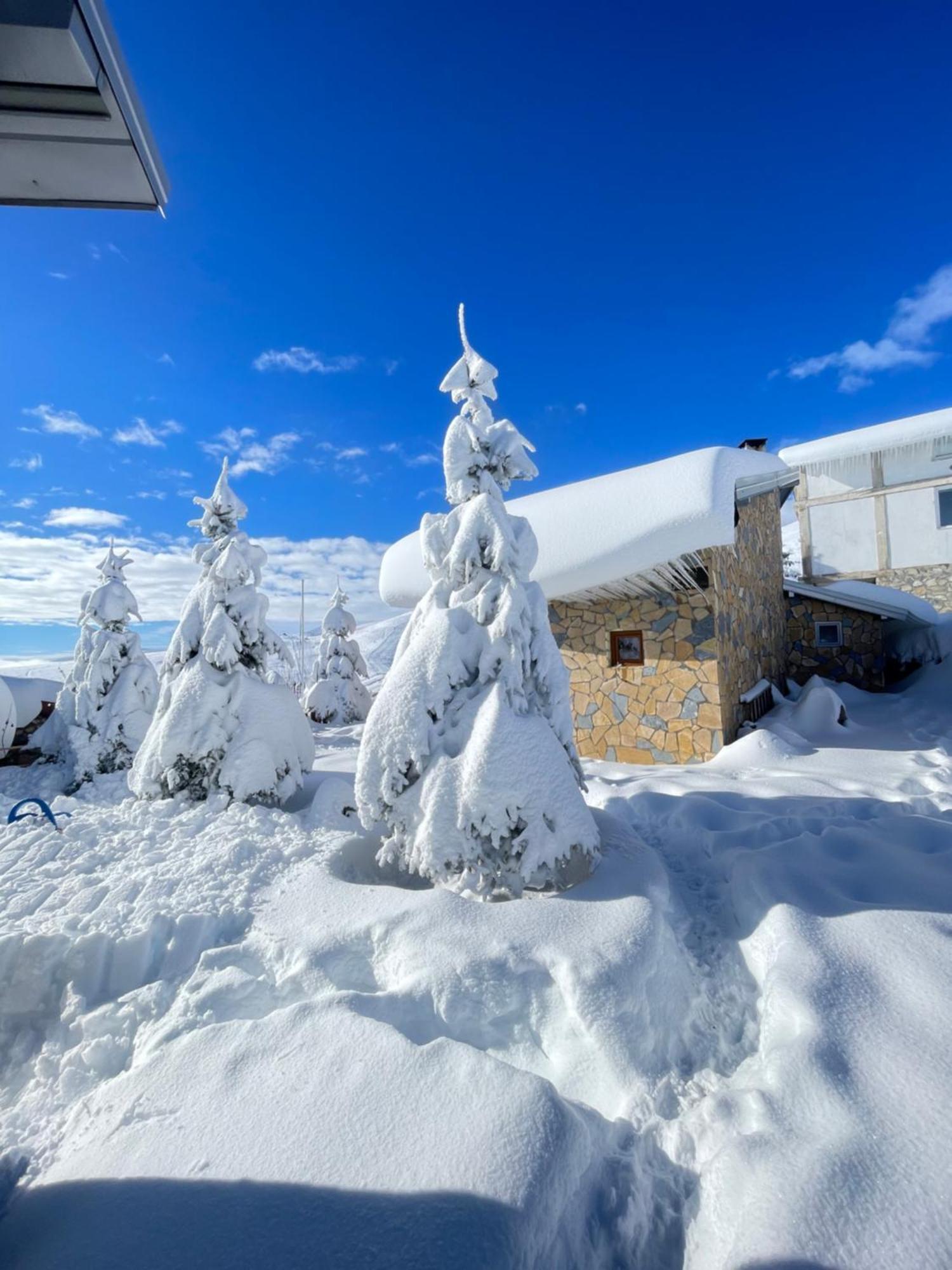 Villa 80 Kodra E Diellit Tetovo Bagian luar foto